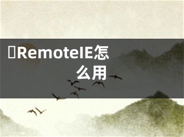 ?RemoteIE怎么用