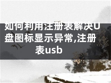 如何利用注冊表解決U盤圖標顯示異常,注冊表usb