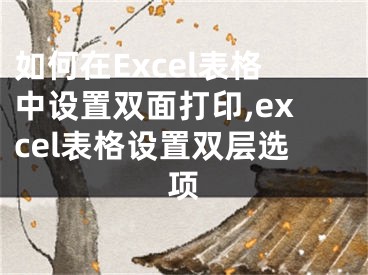 如何在Excel表格中設(shè)置雙面打印,excel表格設(shè)置雙層選項(xiàng)