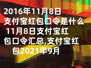 2016年11月8日支付寶紅包口令是什么 11月8日支付寶紅包口令匯總,支付寶紅包2021年9月