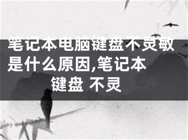 筆記本電腦鍵盤(pán)不靈敏是什么原因,筆記本 鍵盤(pán) 不靈