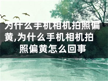 為什么手機(jī)相機(jī)拍照偏黃,為什么手機(jī)相機(jī)拍照偏黃怎么回事