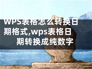 WPS表格怎么轉(zhuǎn)換日期格式,wps表格日期轉(zhuǎn)換成純數(shù)字