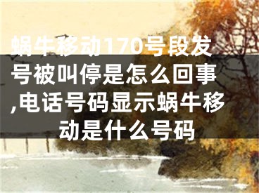 蝸牛移動170號段發(fā)號被叫停是怎么回事 ,電話號碼顯示蝸牛移動是什么號碼