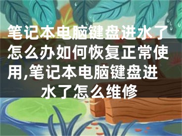 筆記本電腦鍵盤進水了怎么辦如何恢復正常使用,筆記本電腦鍵盤進水了怎么維修