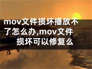 mov文件損壞播放不了怎么辦,mov文件損壞可以修復(fù)么