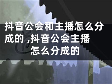 抖音公會(huì)和主播怎么分成的 ,抖音公會(huì)主播怎么分成的