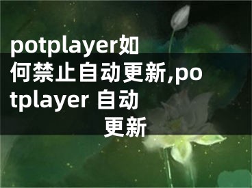 potplayer如何禁止自動(dòng)更新,potplayer 自動(dòng)更新