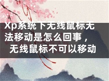 Xp系統(tǒng)下無線鼠標(biāo)無法移動是怎么回事 ,無線鼠標(biāo)不可以移動