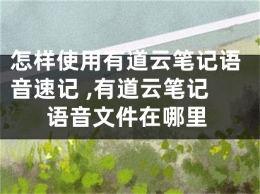 怎樣使用有道云筆記語音速記 ,有道云筆記語音文件在哪里