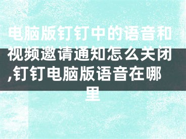 電腦版釘釘中的語(yǔ)音和視頻邀請(qǐng)通知怎么關(guān)閉,釘釘電腦版語(yǔ)音在哪里