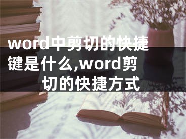 word中剪切的快捷鍵是什么,word剪切的快捷方式