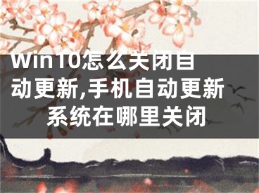 Win10怎么關(guān)閉自動(dòng)更新,手機(jī)自動(dòng)更新系統(tǒng)在哪里關(guān)閉