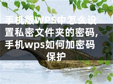 手機(jī)版WPS中怎么設(shè)置私密文件夾的密碼,手機(jī)wps如何加密碼保護(hù)