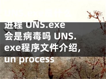 UNS.exe是什么進(jìn)程 UNS.exe會(huì)是病毒嗎 UNS.exe程序文件介紹,un process