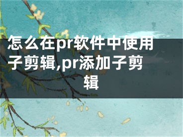 怎么在pr軟件中使用子剪輯,pr添加子剪輯