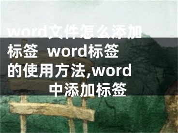 word文件怎么添加標(biāo)簽  word標(biāo)簽的使用方法,word中添加標(biāo)簽