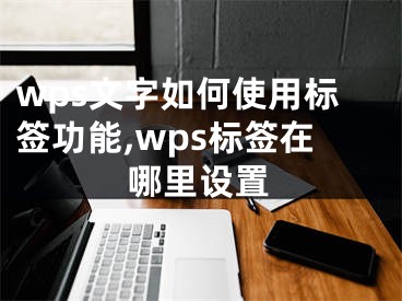 wps文字如何使用標(biāo)簽功能,wps標(biāo)簽在哪里設(shè)置