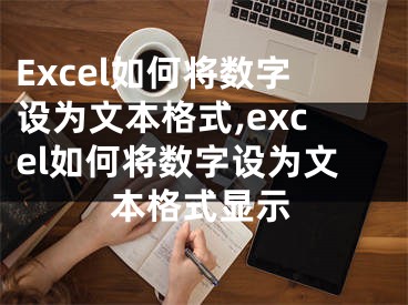 Excel如何將數(shù)字設(shè)為文本格式,excel如何將數(shù)字設(shè)為文本格式顯示