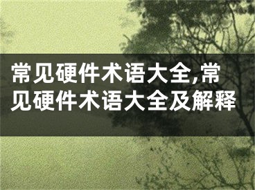 常見(jiàn)硬件術(shù)語(yǔ)大全,常見(jiàn)硬件術(shù)語(yǔ)大全及解釋