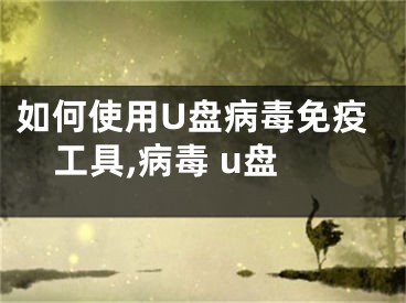 如何使用U盤病毒免疫工具,病毒 u盤