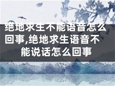 絕地求生不能語音怎么回事,絕地求生語音不能說話怎么回事