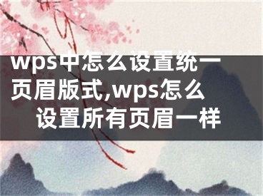 wps中怎么設(shè)置統(tǒng)一頁眉版式,wps怎么設(shè)置所有頁眉一樣