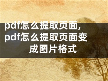 pdf怎么提取頁面,pdf怎么提取頁面變成圖片格式