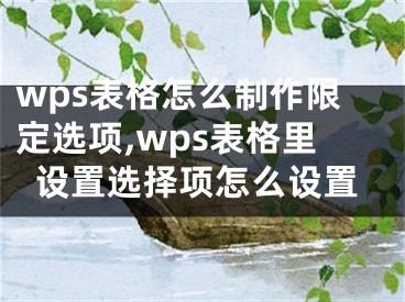 wps表格怎么制作限定選項(xiàng),wps表格里設(shè)置選擇項(xiàng)怎么設(shè)置