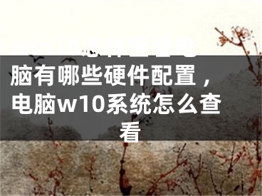 win10怎樣查看電腦有哪些硬件配置 ,電腦w10系統(tǒng)怎么查看