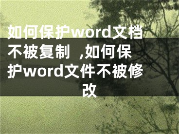 如何保護(hù)word文檔不被復(fù)制  ,如何保護(hù)word文件不被修改