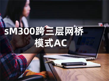 sM300跨三層網(wǎng)橋模式AC