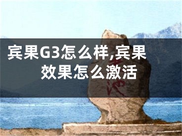 賓果G3怎么樣,賓果效果怎么激活