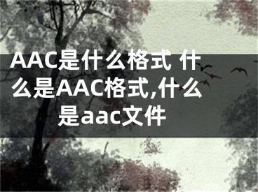 AAC是什么格式 什么是AAC格式,什么是aac文件