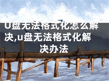 U盤(pán)無(wú)法格式化怎么解決,u盤(pán)無(wú)法格式化解決辦法