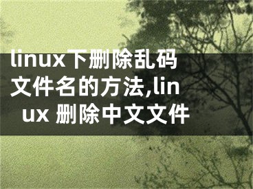 linux下刪除亂碼文件名的方法,linux 刪除中文文件