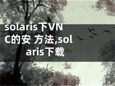 solaris下VNC的安 方法,solaris下載