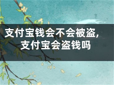 支付寶錢會不會被盜,支付寶會盜錢嗎