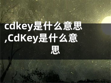 cdkey是什么意思,CdKey是什么意思