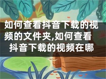 如何查看抖音下載的視頻的文件夾,如何查看抖音下載的視頻在哪