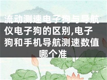 流動(dòng)測速電子狗與導(dǎo)航儀電子狗的區(qū)別,電子狗和手機(jī)導(dǎo)航測速數(shù)值哪個(gè)準(zhǔn)