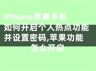 iPhone蘋果手機(jī)如何開啟個(gè)人熱點(diǎn)功能并設(shè)置密碼,蘋果功能怎么開啟