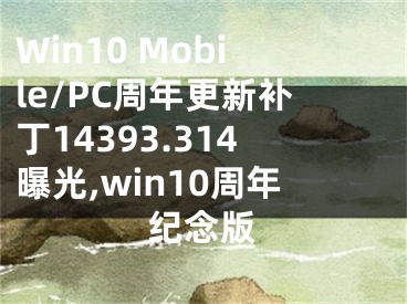 Win10 Mobile/PC周年更新補(bǔ)丁14393.314曝光,win10周年紀(jì)念版