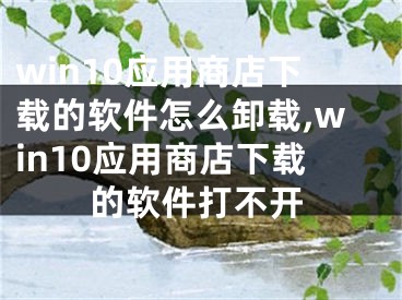 win10應用商店下載的軟件怎么卸載,win10應用商店下載的軟件打不開