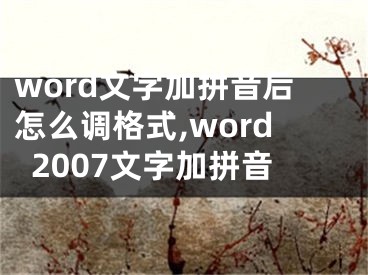 word文字加拼音后怎么調(diào)格式,word2007文字加拼音