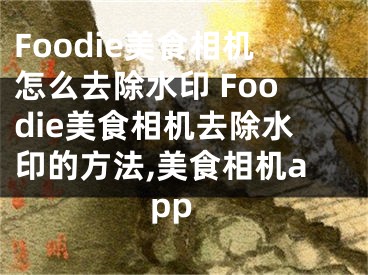 Foodie美食相機(jī)怎么去除水印 Foodie美食相機(jī)去除水印的方法,美食相機(jī)app