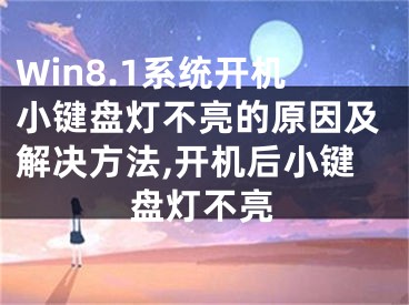 Win8.1系統(tǒng)開機(jī)小鍵盤燈不亮的原因及解決方法,開機(jī)后小鍵盤燈不亮