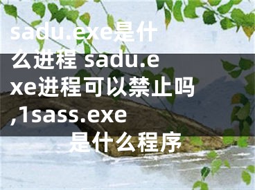 sadu.exe是什么進(jìn)程 sadu.exe進(jìn)程可以禁止嗎 ,1sass.exe是什么程序