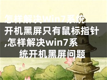 怎樣解決Win7系統(tǒng)開(kāi)機(jī)黑屏只有鼠標(biāo)指針,怎樣解決win7系統(tǒng)開(kāi)機(jī)黑屏問(wèn)題