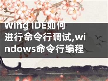 Wing IDE如何進行命令行調(diào)試,windows命令行編程